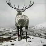 Panorama Karkonoszy - Komfort Uzdrowisko Z Widokiem Na Sniezke I Aquapark * كارباش