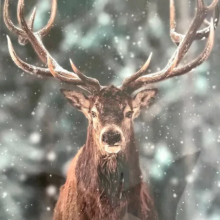 Panorama Karkonoszy - Komfort Z Widokiem Na Sniezke I Aquapark