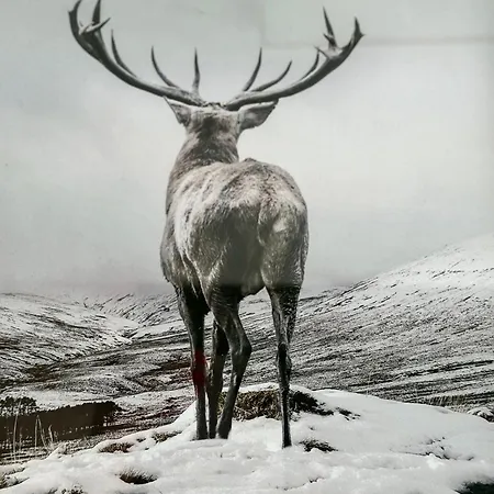 Panorama Karkonoszy - Komfort Z Widokiem Na Sniezke I Aquapark * קרפאז'