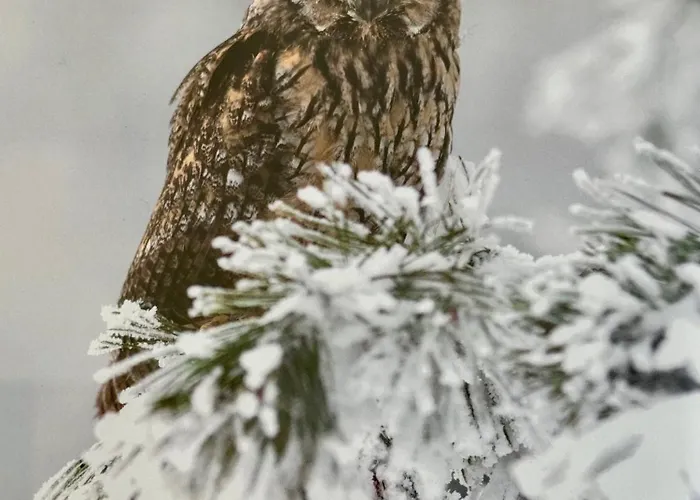 Apartmán Panorama Karkonoszy - Komfort Z Widokiem Na Sniezke I Aquapark Karpacz